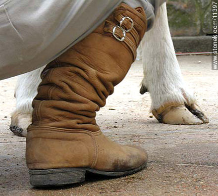  - Departamento de Florida - URUGUAY. Foto No. 11397