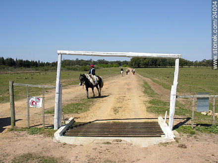 Cabalgata - Departamento de Florida - URUGUAY. Foto No. 24004