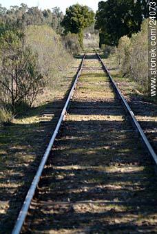 Vía férrea con poco uso - Departamento de Florida - URUGUAY. Foto No. 24073